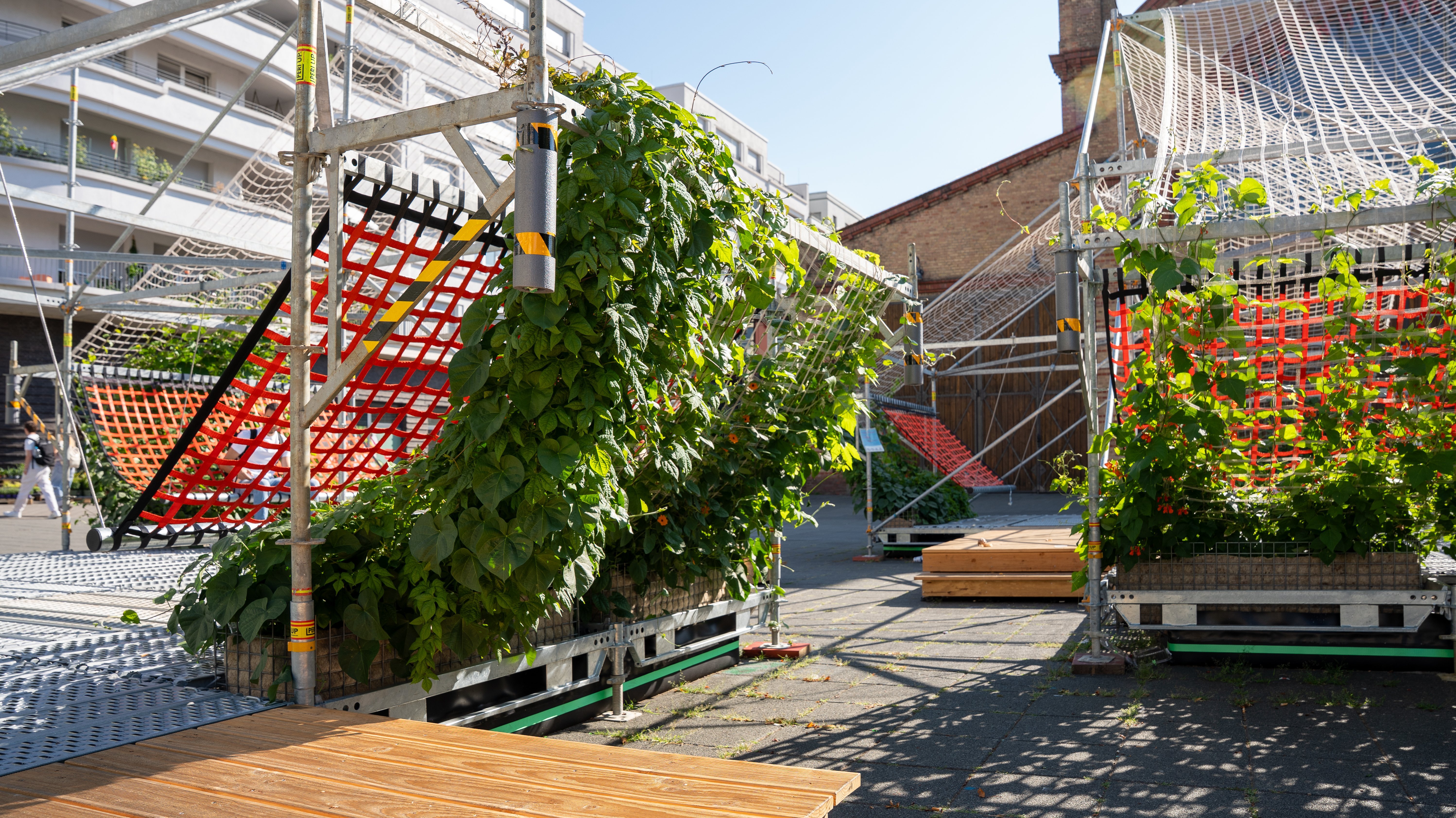 Temporäre Begrünungsinstallation CARLO